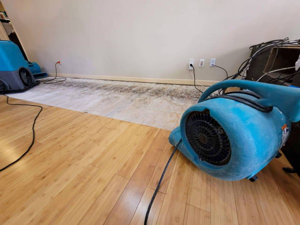 Professional Emergency Water Damage technician working in Rossburg, OH